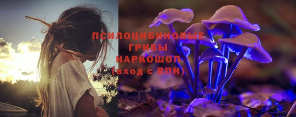 гашиш Касимов