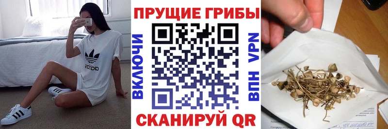Галлюциногенные грибы Psilocybe  Купить закладки  Чухлома 
